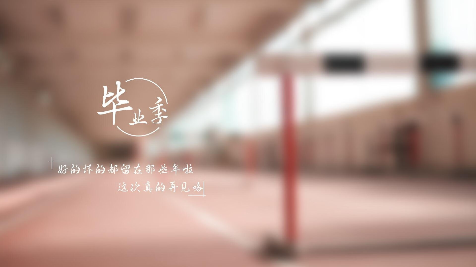 _森林狼迎来黄金时段，逐步缩小差距_，森林狼战绩